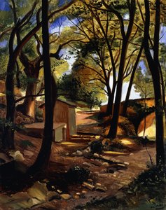 The Fountain of Olieres