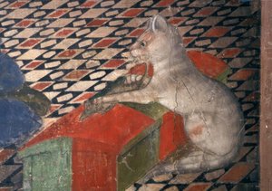 Cathedral of Atri, Cat by Andrea Delitio