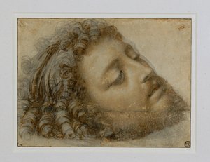 Head of Saint John the Baptist by Andrea Solario