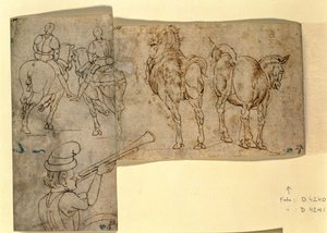 Sketch of Horses, c. 1460-70 by Andrea Verrocchio