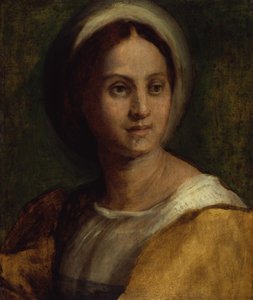 Portrait of a Young Woman by Andrea del Sarto