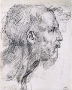 Head of an Apostle, Study for the Fresco of the 