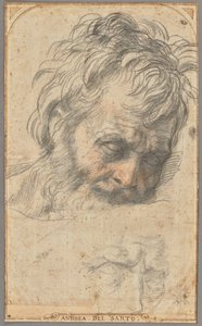 Study for the Head of Saint Joseph (recto); Two Studies of Legs (verso) by Andrea del Sarto