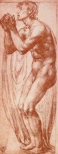 Study of a Male Figure by Andrea del Sarto