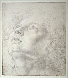 Head of an Angel by Andrea del Verrocchio