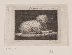 Giordano, a Lying Dog by Andreas Flint