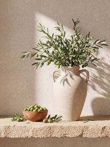 Rustic Mediterranean Olives