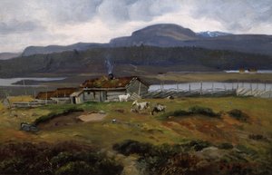 Pasture with goats