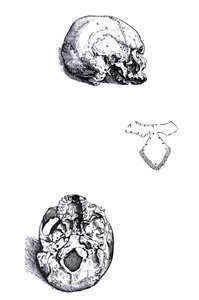 The Plates from the First Book of the De Humani Corporis Fabrica by Andreas Vesalius