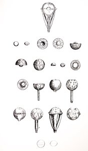 The Plates from the Seventh Book of the De Humani Corporis Fabrica