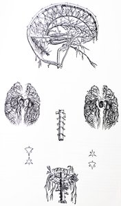 The Plates from the Third Book of the De Humani Corporis Fabrica by Andreas Vesalius