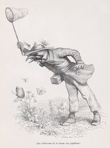 What Do You Say About the Butterfly Hunt from Scenes from the Private and Public Life