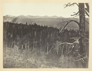 Snow and Timber Line, Medicine Bow Mountain by Andrew Joseph Russell