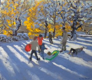 Autumn leaves and snow, Allestree park