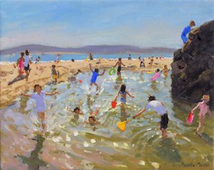 Rock pool, Tenby