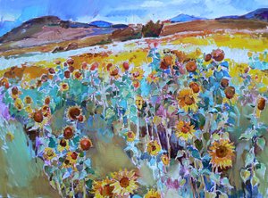 Golden Sunflower Fields