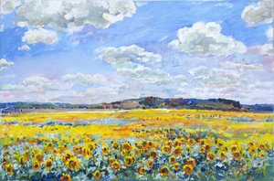 Sunlit Sunflower Field