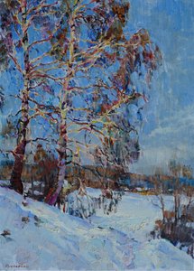Sunlit Winter Birches by Andrii Kutsachenko