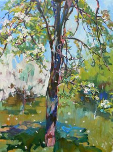 Sunny Spring Blossoms by Andrii Kutsachenko