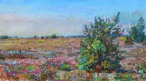 Vibrant Heather Landscape by Andrii Kutsachenko