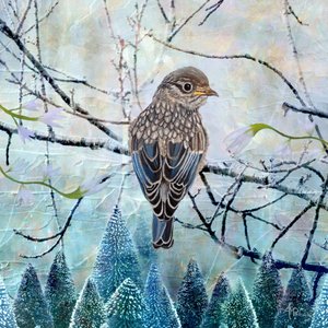 Blue Bird Winter Scene