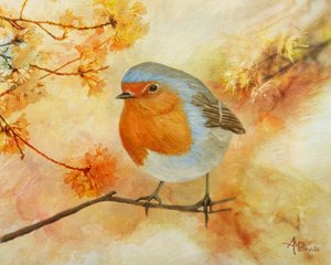 Charming Spring Robin