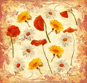Cheerful Poppies And Daisies