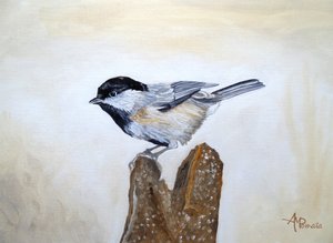 Chickadee On Wood Stump