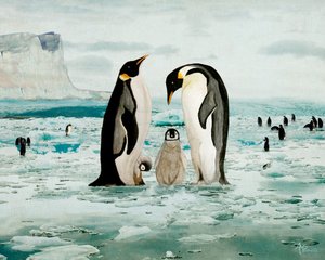 Emperor Penguin Family by Angeles M. Pomata