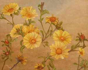 Golden Garden Blooms