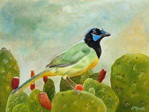 Green Jay On Cactus