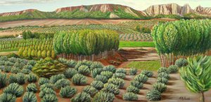 Green Valley Farmland