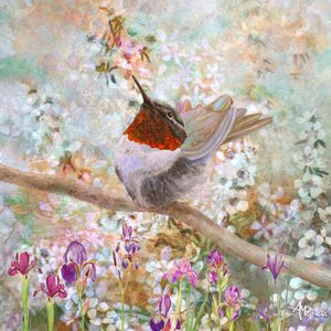 Hummingbird In Bloom