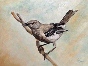 Mockingbird On Branch