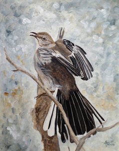 Mockingbird Spreading Wings