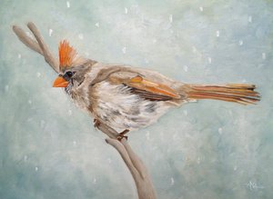 Peaceful Winter Cardinal
