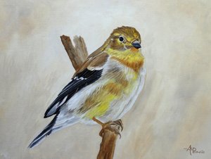 Perched Yellow Finch
