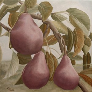 Purple Pears on Branch