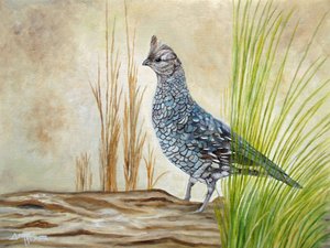 Ruffed Grouse on Log