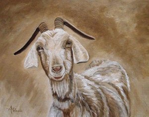 Smiling Goat Portrait