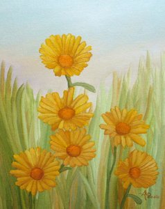 Sunny Yellow Meadow by Angeles M. Pomata