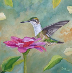 Vibrant Hummingbird Zinnia
