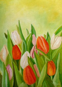 Vibrant Spring Tulips