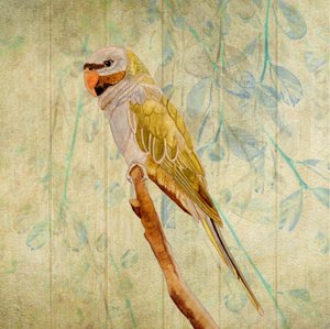 Vintage Green Parrot