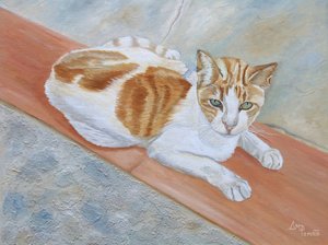 Watchful Orange Tabby by Angeles M. Pomata