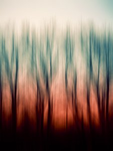 Abstract Forest Blur by Angelo Cerantola