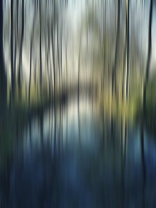Blurred Forest Reflections