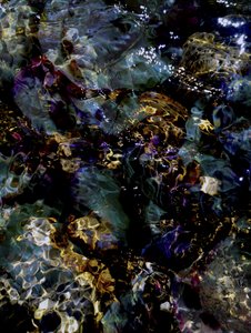 Deep Water Reflections by Angelo Cerantola