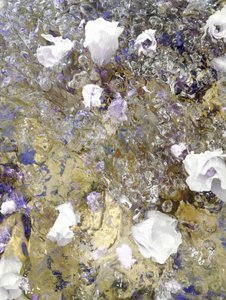 Dreamy Floral Reflections