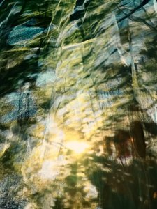Dreamy Forest Sunlight by Angelo Cerantola